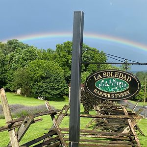 La Soledad Lavender Farm And Guesthouse Harpers Ferry Exterior photo