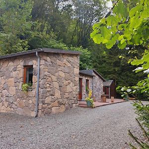 Villa Le Ri De Va Maboge La Roche En Ardenne Ortho Exterior photo