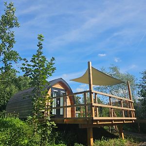 Hotel Tiny House De Piiptsjilling Westergeest Exterior photo