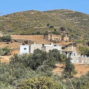 Aegean Cottage Andros Makrotándalon Exterior photo