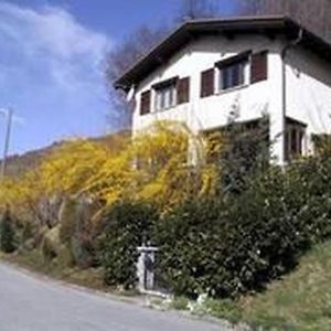 Villa Casa Silvia - Freistehendes Ferienhaus In Scareglia Cimadera Exterior photo