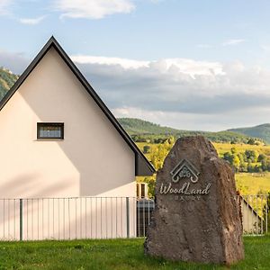 Ferienwohnung Woodland Luxury Belapatfalva Exterior photo