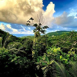 Villa Magical San San Port Antonio Close To Blue Lagoon Frenchman'S Cove Exterior photo