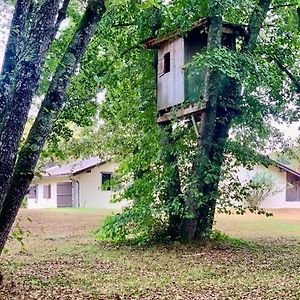 Villa Le Refuge Des Bois Villandraut Exterior photo