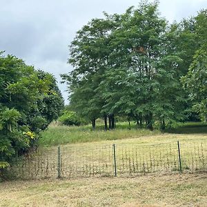 Villa Domain De Montvert - 5 Min From Saint Emilion Sainte-Terre Exterior photo