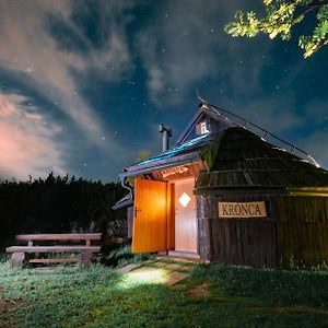 Villa Koca Kronca - Velika Planina Stahovica Exterior photo