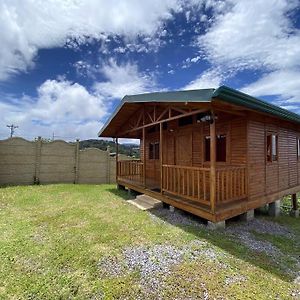 Villa Cabana Tulipanes - Cozy Cabin In An Awesome Place! Jardín Exterior photo