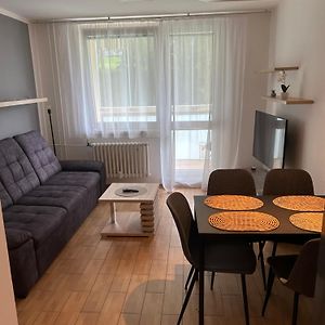 Ferienwohnung Apartman U Areny Nmnm Nove Mesto na Morave Exterior photo