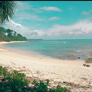 Hotel Mallick Palace Neil Island South Andaman Ram Nagar Exterior photo