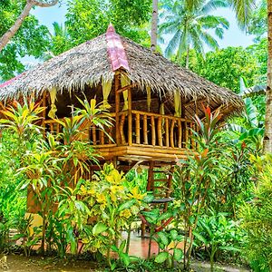 Water To Forest Ecolodge Loboc Exterior photo