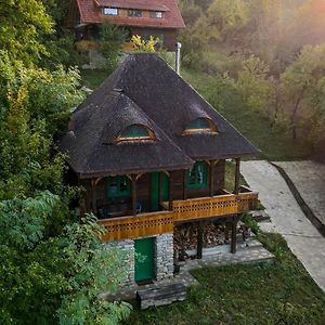 Villa La Sat - Mandra Ioana Bertea Exterior photo