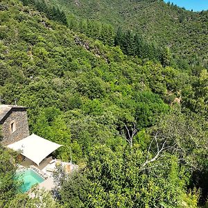 Villa La Clede Avec Sa Piscine Privee Saumane Exterior photo