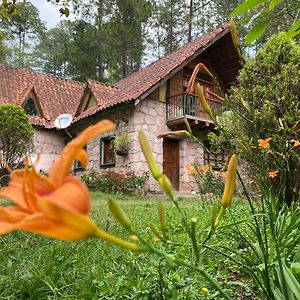 Villa El Chalet Valle de Ángeles Exterior photo