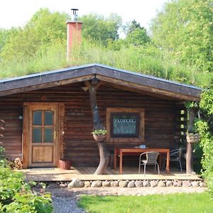 Villa Blockhaus Zahren Penzlin Exterior photo