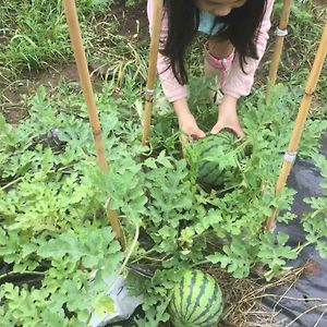 Ichigo Sou - Vacation Stay 17752 Ichihara Exterior photo