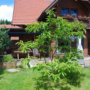 Ferienwohnung Familienurlaub Im Haus Mit Sauna Feldkirchen an der Donau Exterior photo