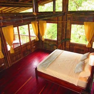 Villa Bamboo Jungle Cabin Walkable Distance From River Platanillo Exterior photo