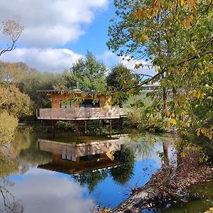 Villa Tinyhousebeidresden 2 Im Teich - Naehe Saechsische Schweiz, Dresden, Mit Badeteich Großharthau Exterior photo