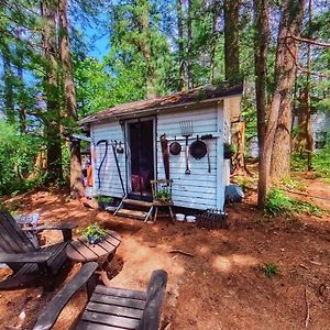 Villa The Stabbin Cabin On Grant Island, Brantingham Lake - Hottub, Boat, Pet Friendly Glenfield Exterior photo