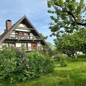 Hotel Gästehaus Obsthof Gottenheim Exterior photo