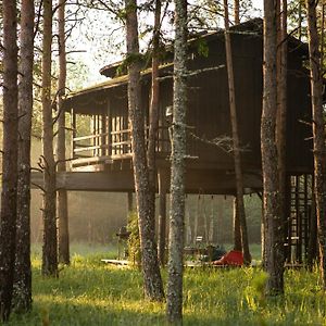 Villa Sambliku Treehouse Jogisoo Exterior photo