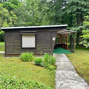 Villa Ferienhaus Im Rhododendronpark Kromlau Exterior photo