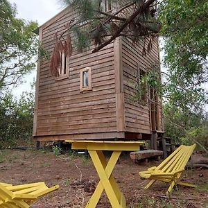 Villa Cabana En El Bosque Punta Del Diablo Exterior photo