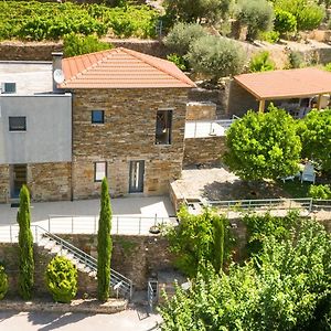 Villa Soalheira Douro House Vale de Mendiz Exterior photo