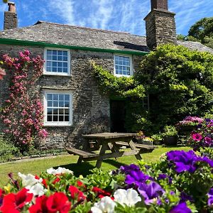 Bed and Breakfast Shute Farm Kingsbridge  Exterior photo