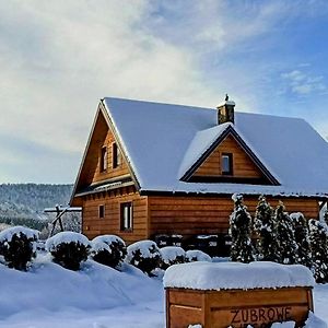 Villa Bieszczady Zubrowe Wzgorze Steznica  Exterior photo