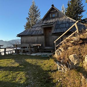 Villa Chalet Kosutnik Velika Planina Kamniska Bistrica Exterior photo