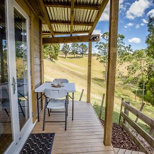 Bed and Breakfast Private Cabin Close To The City Centre Whangarei Exterior photo