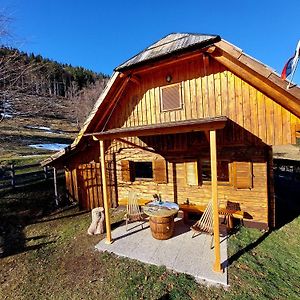 Villa Koca Lipa Pod Veliko Planino Luče Exterior photo