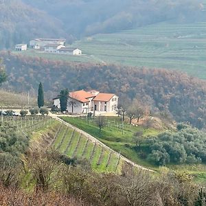 Villa Agriturismo Cascina Capo Negrar Exterior photo