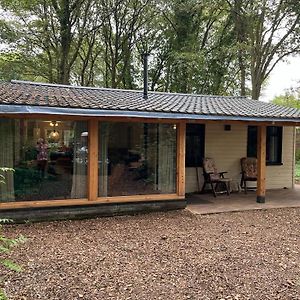 Villa Huisje In Het Bos Zuidlaren Exterior photo