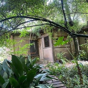 Hotel Casita Bioconstruccion Playa Santa Ana Exterior photo