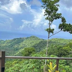 Ferienwohnung Journey to Paradise , Modern Waterfall Escape Port Antonio Exterior photo