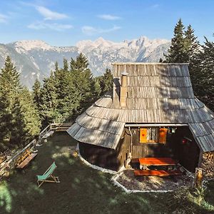 Villa Velika Planina - Chalet Stane - Alps Stahovica Exterior photo