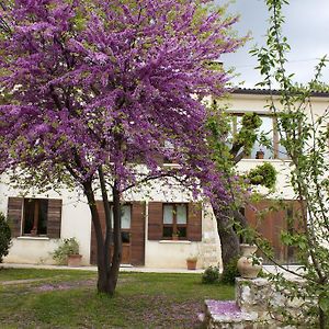 B&B Altè Paderno del Grappa Exterior photo