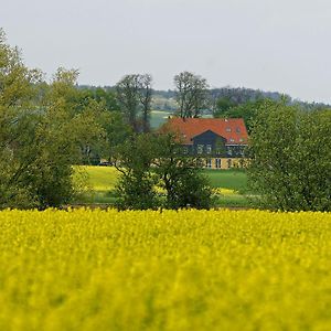 Hotel Landhaus Heidekrug Hildesheim Exterior photo