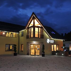 Hotel Penzion Anesis Turčianske Teplice Exterior photo