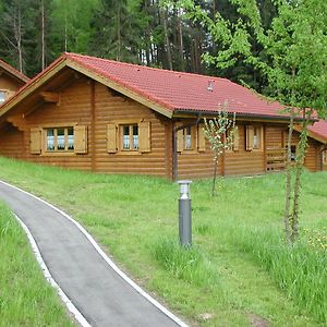 Villa Blockhaus Bayerischer Wald Stamsried Exterior photo