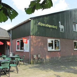 Ferienwohnung De Alpacaboerderij Bocholt Exterior photo