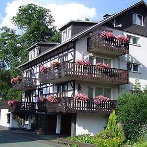 Villa Ferienhaus Hedrich Assinghausen Exterior photo