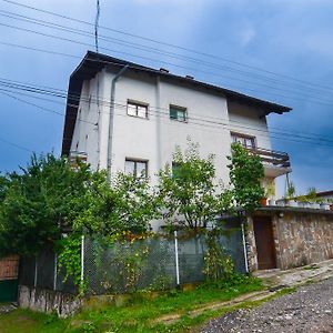 Topuzovi Guest House Dobrinischte Exterior photo