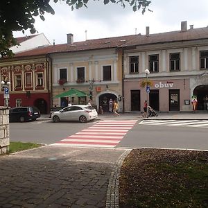 Hotel Penzion A Restauracia U Jelena Stará ľubovňa Exterior photo