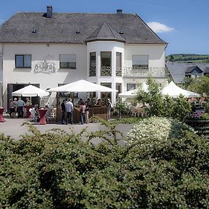 Hotel Gästehaus und Weingut Bernd Frieden Nittel Exterior photo