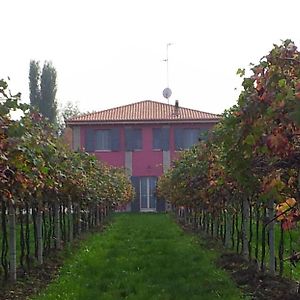 Villa Agriturismo Fondo Gesu Sala Bolognese Exterior photo