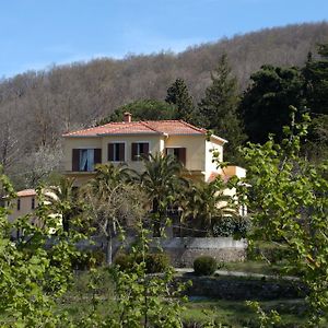 Villa Valle Maira, Agriturismo Nel Parco Dei Nebrodi Tortorici Exterior photo