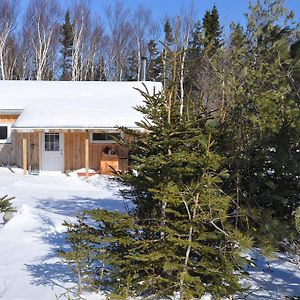 Villa The Sleeping Moose Birch Plain Exterior photo